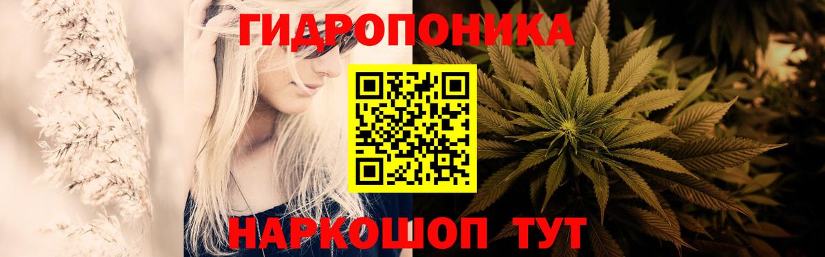 Каннабис семена Касимов